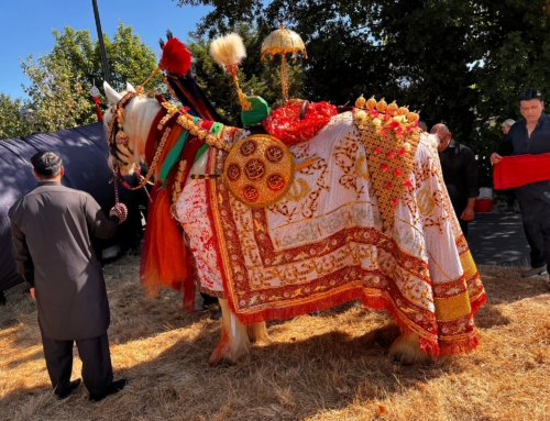 10th Muharram Ashura Procession